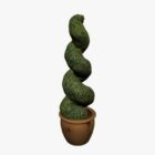 Twisted Topiary Plant