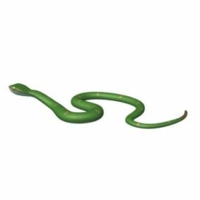 Serpent des fosses Waglers modèle 3D