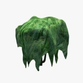 Green Willow Tree 3d-modell