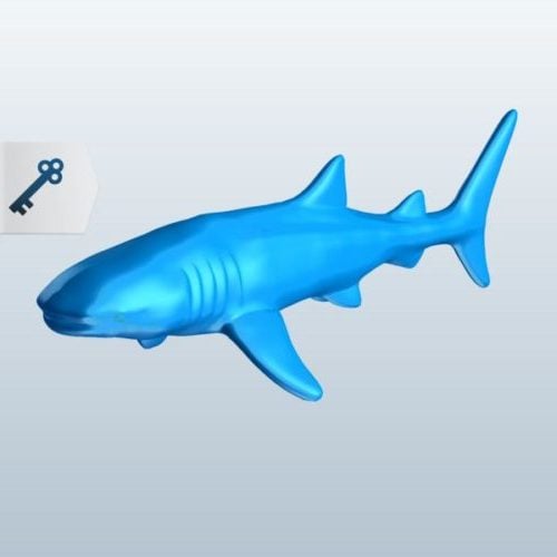 Whale Shark Printable