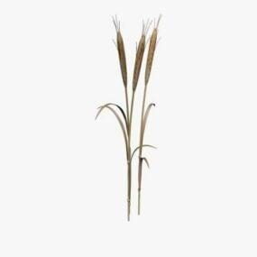 3d модель пшеничного поля