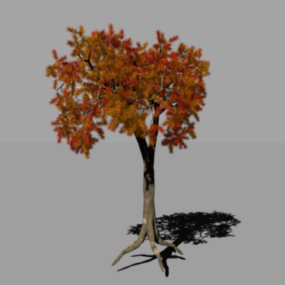 Arbre à feuilles d'automne modèle 3D