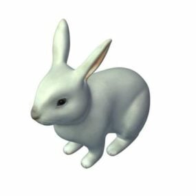 White Hare Animal 3d model