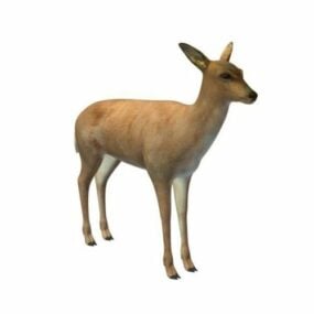 Horn Deer Animal Character 3d model