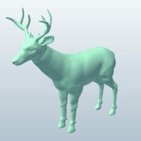 3D model divokého jelena s bílým ocasem