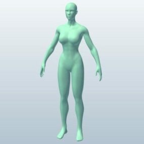 مجسمه بدن زن مدل سه بعدی