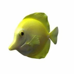 Aquarium Tang Fish 3d model