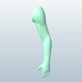 مدل سه بعدی بازو اسکالپت