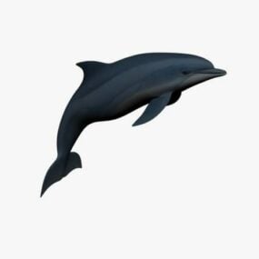 3D model skákání delfínů