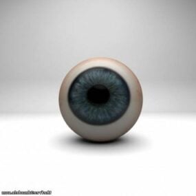 Human Eye 3d-modell