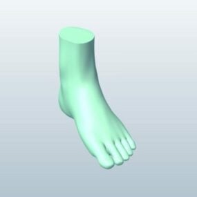 Modello 3d di scultura del piede
