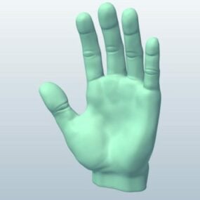 Hand Sculpture 3d model