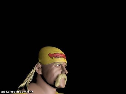 Personnage Hulk Hogan