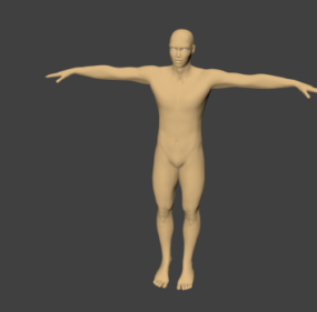 Basis des menschlichen Körpers Rigged 3d Modell