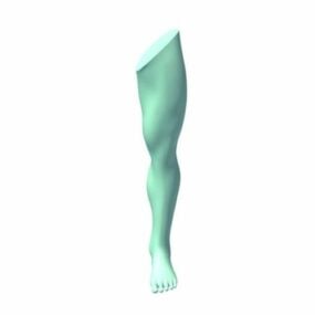 Escultura de perna Modelo 3d