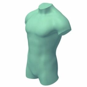Menselijk lichaam 3D-model