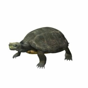 Modelo 3d da tartaruga da lagoa