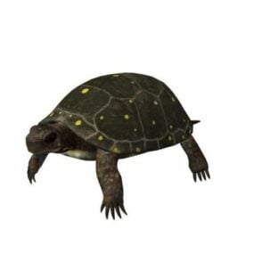 Mô hình 3d động vật rùa đốm