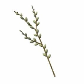 Model 3d Hiasan Cawangan Pokok Willow