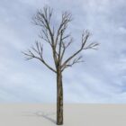 Naturaleza invierno árbol