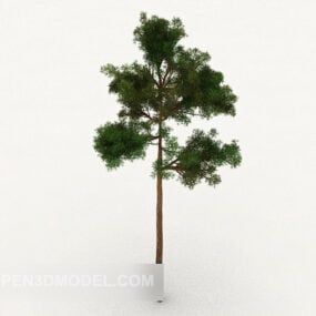 Outdoor Tree Big Leafs 3d model