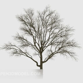 3d модель вуличного сухого дерева