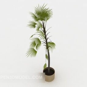 Outdoor Plant Potted 3d model