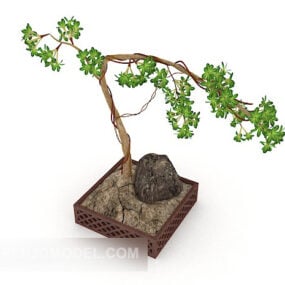 Small Home Bonsai Plant 3d model