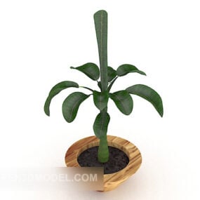 Indoor Wooden Potted Plant 3d model
