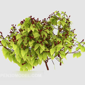 Árbol joven de planta verde al aire libre modelo 3d