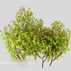 Buiten groene plantenstruiken 3D-model