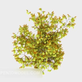 Popüler Bitki Fidan Ağacı 3d modeli