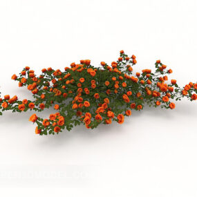 Outdoor Ornamental Plant Red Flower 3d model