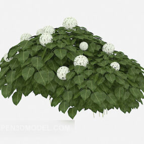 Outdoor Common Green Plant Tree 3d model