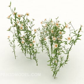 Wild Chrysanthemum Tree 3d model