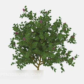 Model 3d Pohon Oak Hijau Luar Ruangan