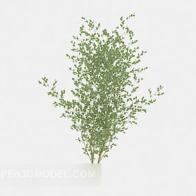 Model 3D drzewka roślinnego natury