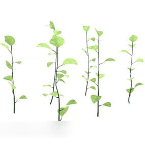 Πράσινο φυτό δενδρυλλίων τρισδιάστατο μοντέλο