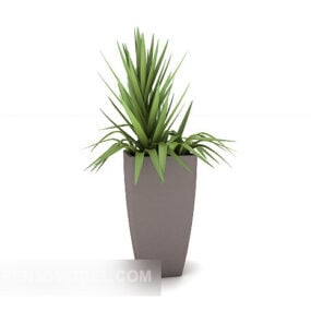 نموذج ثلاثي الأبعاد للنباتات المنزلية الخضراء
