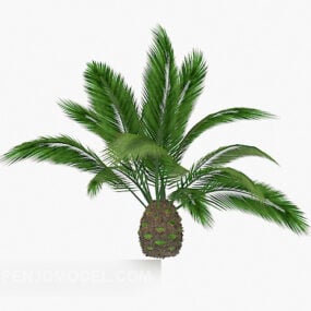 户外棕榈植物花树3d模型
