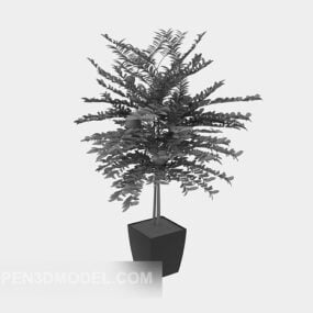 Lowpoly 盆栽树3d模型