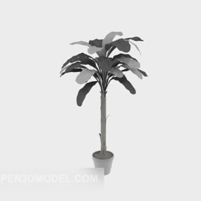 Small Bonsai Plant 3d model