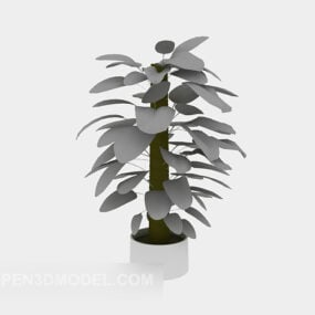 Indoor Green Pot Plant 3d model