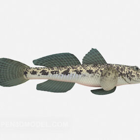 3D model sladkovodních ryb