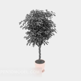Indoor Plant Potted 3d model