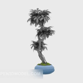 Indoor Small Potted Bonsai Tree 3d model