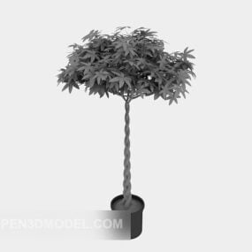 室内盆栽植物装饰3d模型
