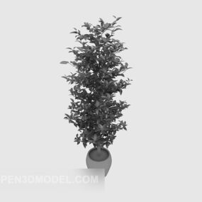 Plant Potted Without Material 3d model