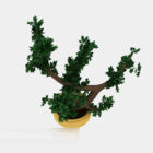 Zelený strom bonsaje
