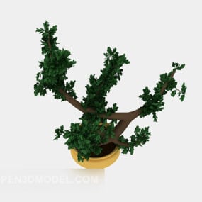 Green Bonsai Tree 3d model